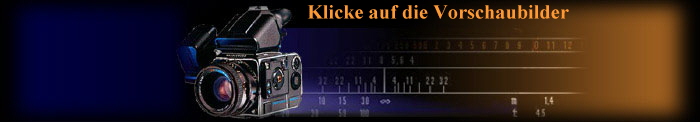 Klicke auf die Vorschaubilder