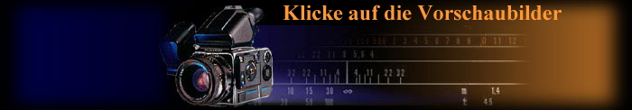 Klicke auf die Vorschaubilder